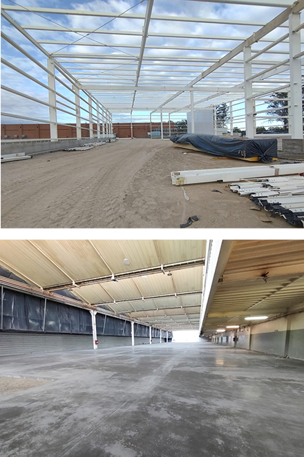 Proyecto Grupo Bimbo 12 Pilares